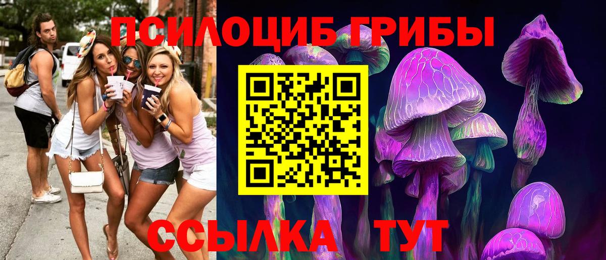 Псилоцибиновые грибы ЛСД  где продают наркотики  Йошкар-Ола  Вход с VPN 